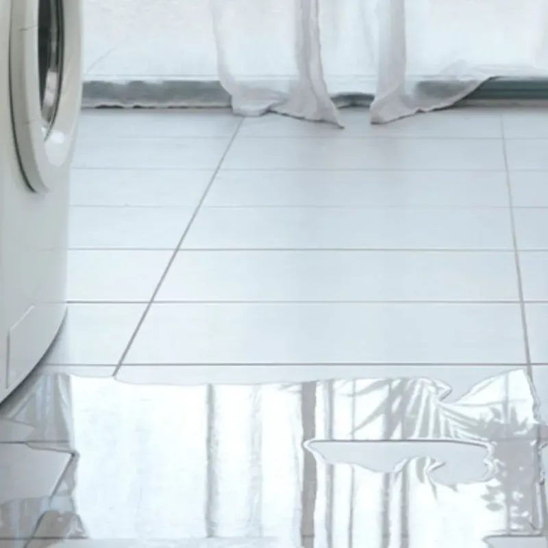 Appliance Leak Cleanup in Canton, GA