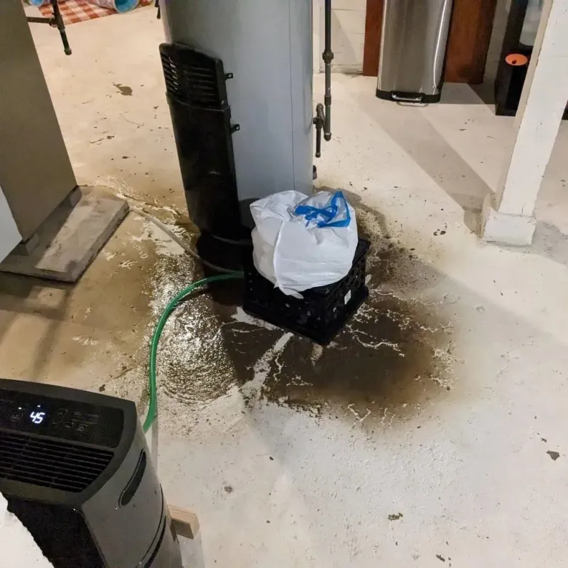 Sewage Backup Cleanup Service in Canton, GA